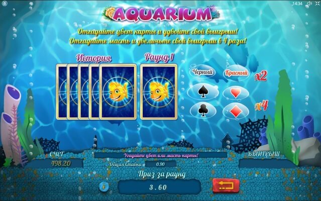 aquarium-risk-igra
