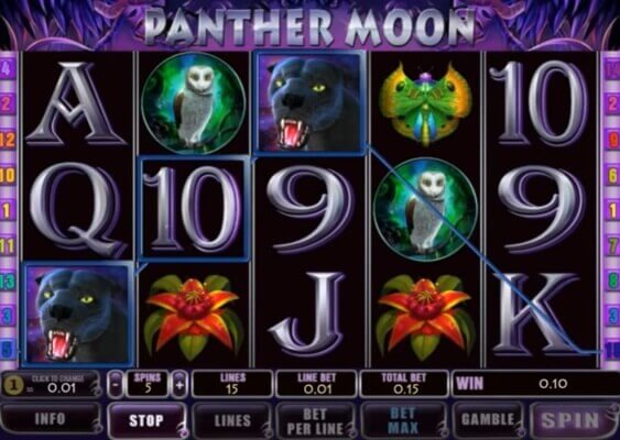 panther-moon-wild